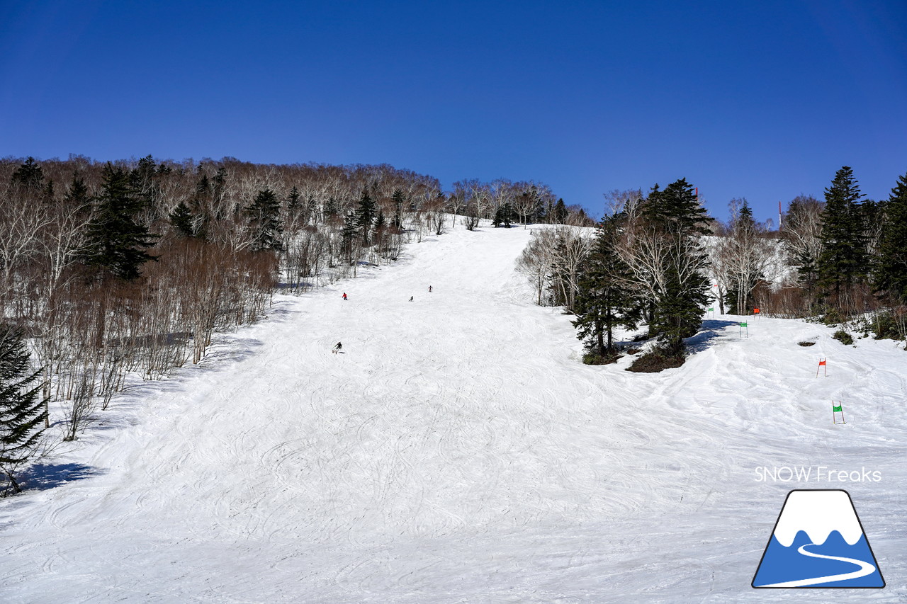 サッポロテイネ　真っ白な雪、澄んだ青空。ゴールデンウィーク２日目は、旭岳～羊蹄山まで見渡せる絶好の春スキー＆スノーボード日和に☆